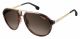 Carrera  UNISEX sunglasses with a HAVANA GOLD frame and BROWN SHADED lens with a lens width of 58mm and model number Carrera 1003/S
