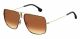 Carrera  UNISEX sunglasses with a BLACK GOLD frame and BROWN SHADED lens with a lens width of 58mm and model number Carrera 1006/S